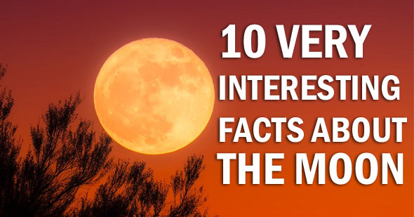 moon-facts